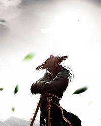 [授权翻译-dh/hd-nc18