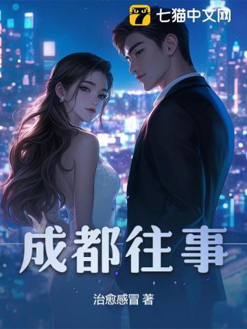 成都往事杨红樱简介