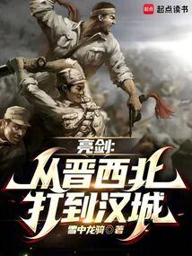 亮剑从晋西北开始雪中龙骑