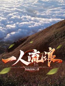 一个人流浪的心情说说