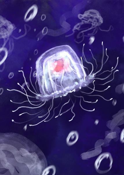 海底小纵队水母爆发故事