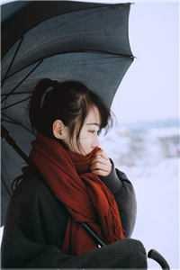 全能巨星养成系统